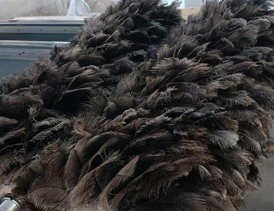 汽車噴涂鴕鳥毛毛刷